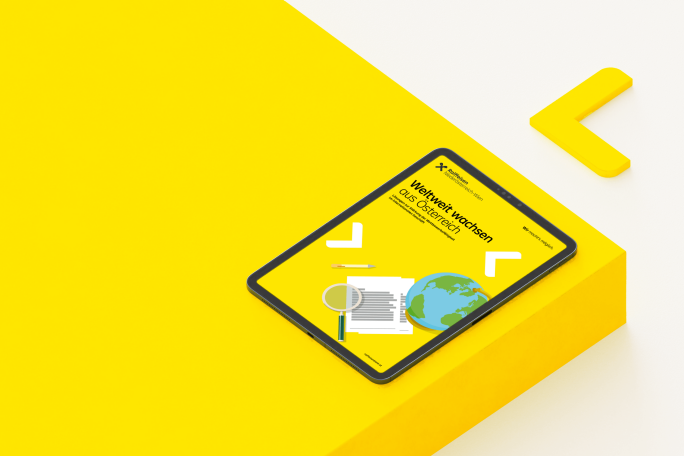 Illustration White Paper: Weltweit wachsen aus Österreich